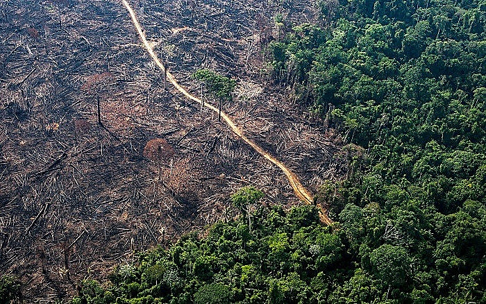 desmonte ambiental de Zema