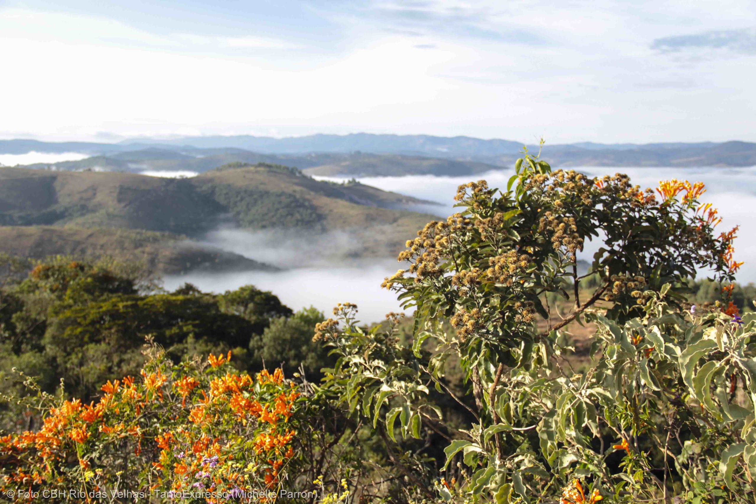 Corredor Ecológico Arêdes-Moeda