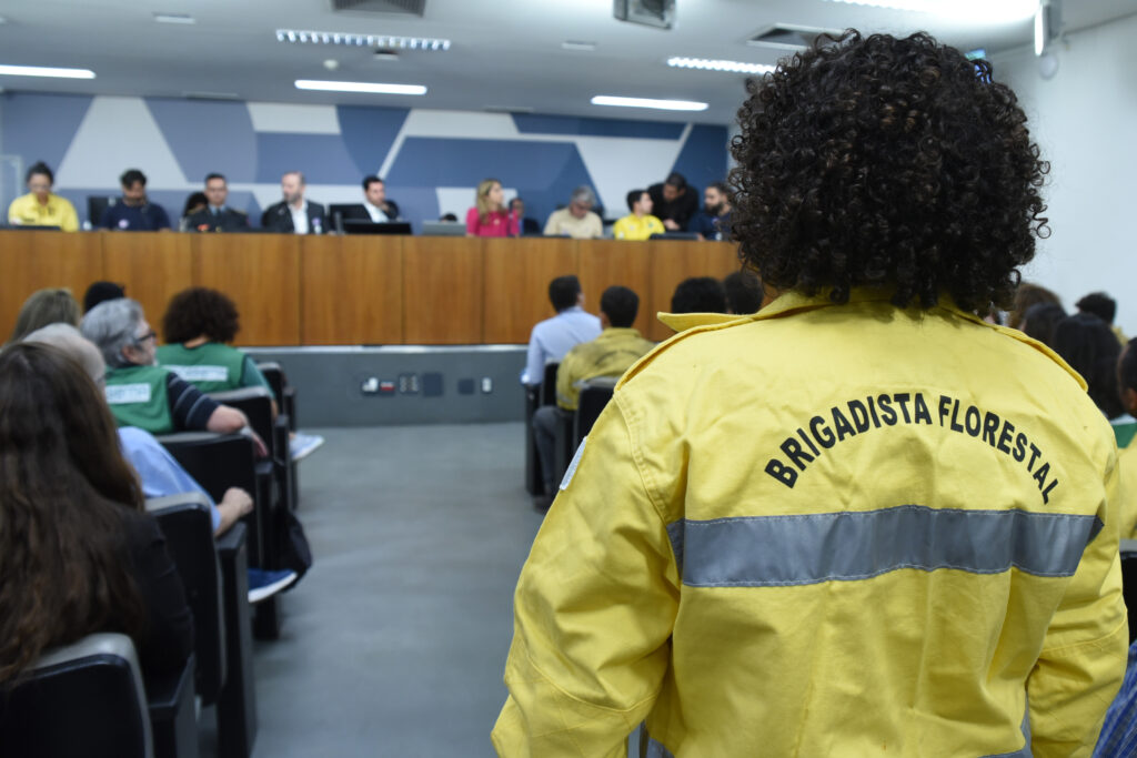 Queimadas em Minas: Comissão do Meio Ambiente debate decreto de Zema que prejudica a prevenção e combate à incêndios florestais