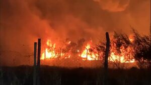 Zema veta recursos para prevenção e combate a incêndios em Minas e expõe população ao risco de desastres