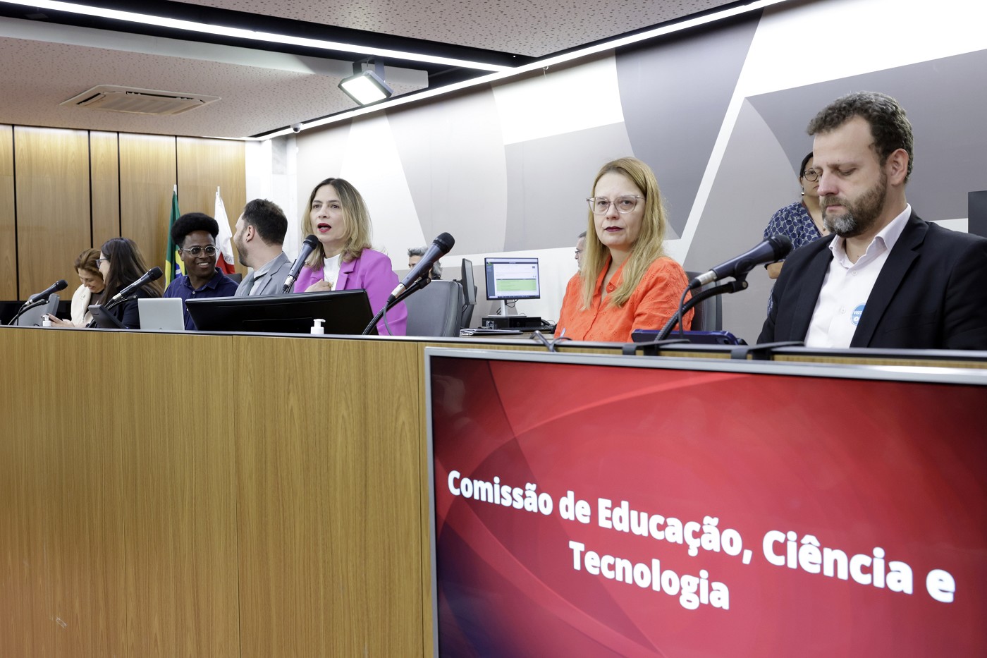 audiencia publica UEMG deputada Beatriz Cequeira